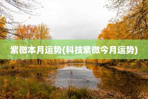 紫微本月运势(科技紫微今月运势)