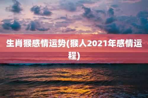 生肖猴感情运势(猴人2021年感情运程)