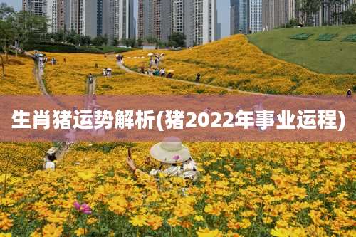 生肖猪运势解析(猪2022年事业运程)
