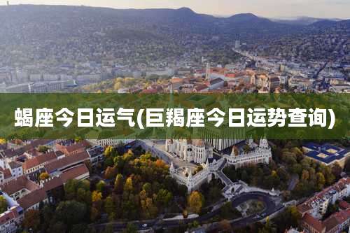 蝎座今日运气(巨羯座今日运势查询)