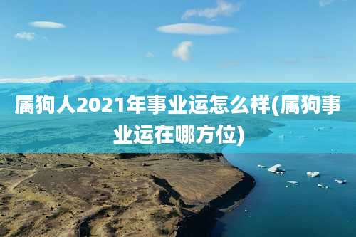 属狗人2021年事业运怎么样(属狗事业运在哪方位)