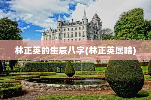 林正英的生辰八字(林正英属啥)