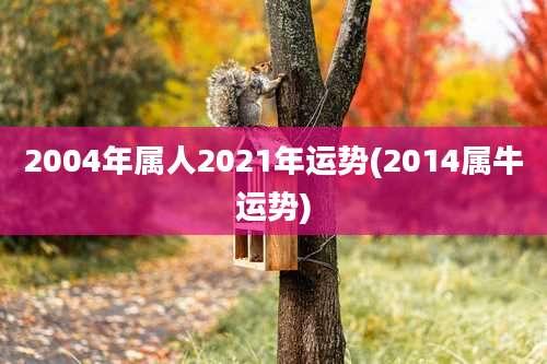 2004年属人2021年运势(2014属牛运势)