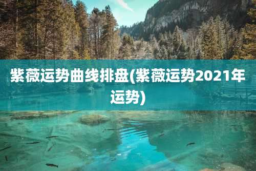 紫薇运势曲线排盘(紫薇运势2021年运势)