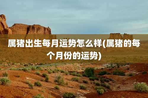 属猪出生每月运势怎么样(属猪的每个月份的运势)