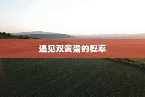 遇见双黄蛋的概率