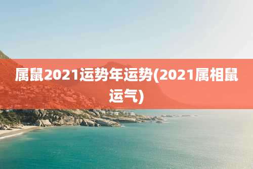 属鼠2021运势年运势(2021属相鼠运气)