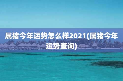 属猪今年运势怎么样2021(属猪今年运势查询)
