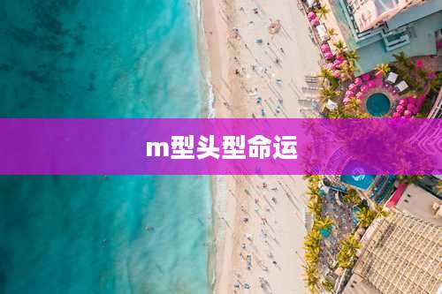 m型头型命运