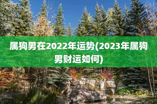 属狗男在2022年运势(2023年属狗男财运如何)