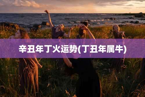 辛丑年丁火运势(丁丑年属牛)