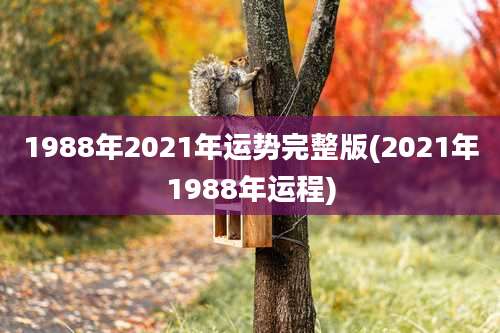1988年2021年运势完整版(2021年1988年运程)