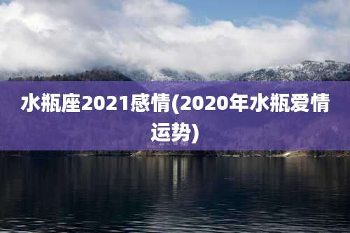 水瓶座2021感情(2020年水瓶爱情运势)