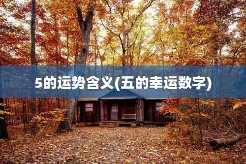 5的运势含义(五的幸运数字)
