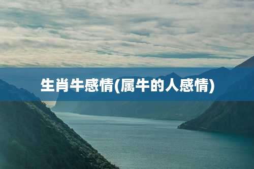 生肖牛感情(属牛的人感情)