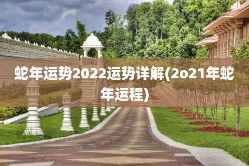 蛇年运势2022运势详解(2o21年蛇年运程)