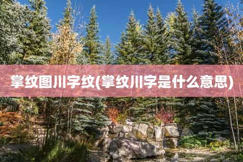 掌纹图川字纹(掌纹川字是什么意思)