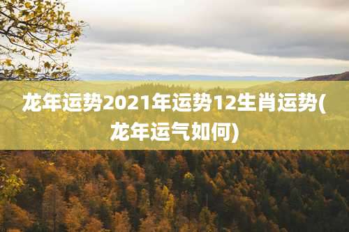 龙年运势2021年运势12生肖运势(龙年运气如何)