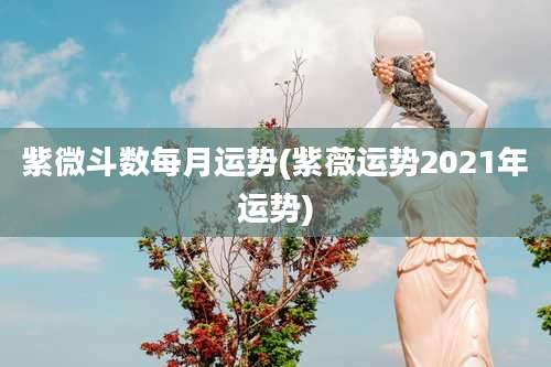 紫微斗数每月运势(紫薇运势2021年运势)