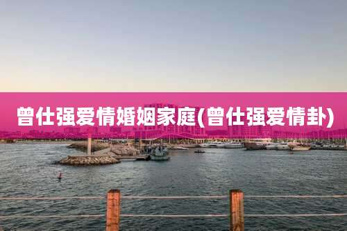 曾仕强爱情婚姻家庭(曾仕强爱情卦)