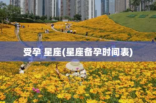 受孕 星座(星座备孕时间表)