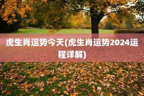 虎生肖运势今天(虎生肖运势2024运程详解)