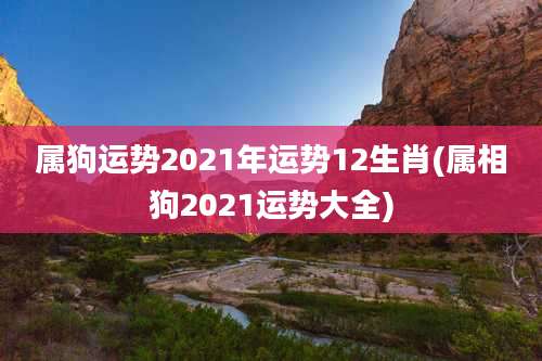 属狗运势2021年运势12生肖(属相狗2021运势大全)