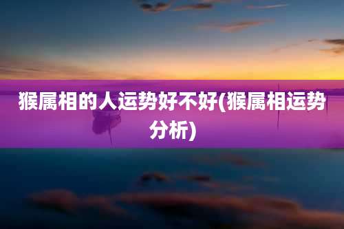 猴属相的人运势好不好(猴属相运势分析)