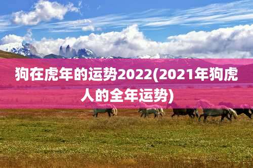 狗在虎年的运势2022(2021年狗虎人的全年运势)