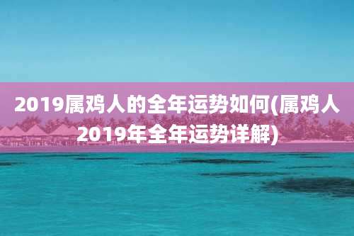 2019属鸡人的全年运势如何(属鸡人2019年全年运势详解)