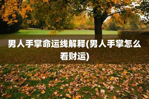 男人手掌命运线解释(男人手掌怎么看财运)