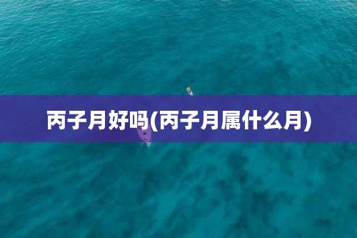 丙子月好吗(丙子月属什么月)