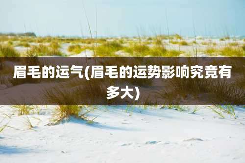 眉毛的运气(眉毛的运势影响究竟有多大)