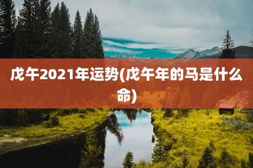 戊午2021年运势(戊午年的马是什么命)