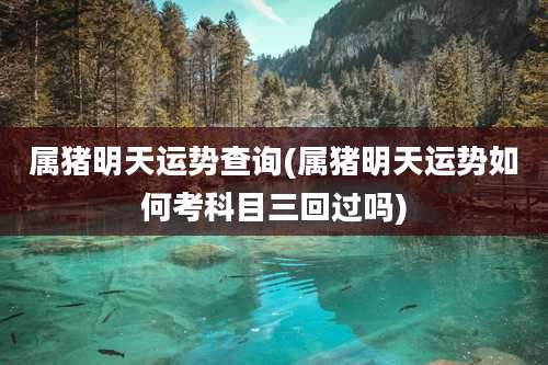 属猪明天运势查询(属猪明天运势如何考科目三回过吗)
