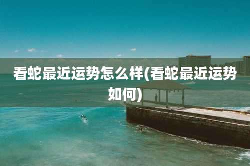 看蛇最近运势怎么样(看蛇最近运势如何)