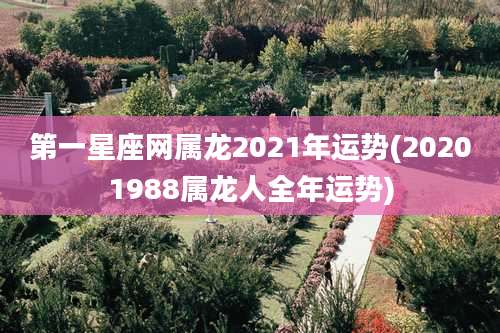 第一星座网属龙2021年运势(20201988属龙人全年运势)