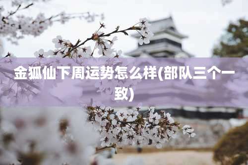 金狐仙下周运势怎么样(部队三个一致)