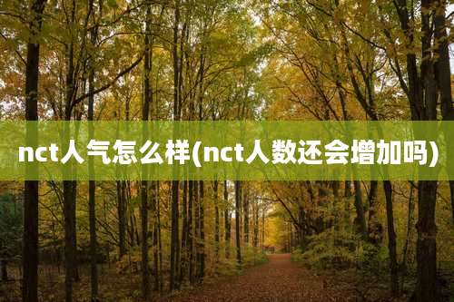 nct人气怎么样(nct人数还会增加吗)