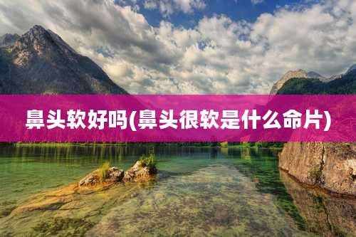 鼻头软好吗(鼻头很软是什么命片)