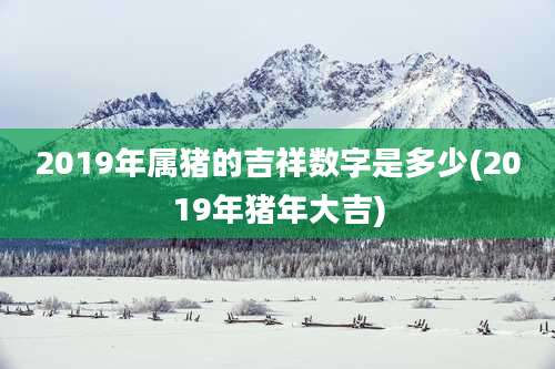 2019年属猪的吉祥数字是多少(2019年猪年大吉)