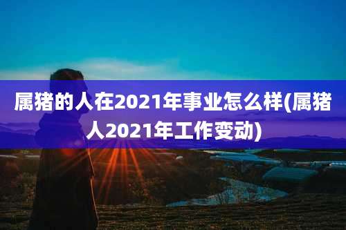 属猪的人在2021年事业怎么样(属猪人2021年工作变动)