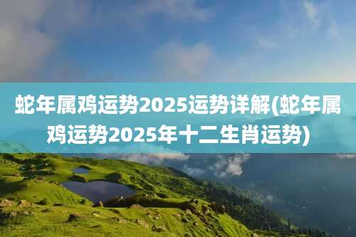 蛇年属鸡运势2025运势详解(蛇年属鸡运势2025年十二生肖运势)