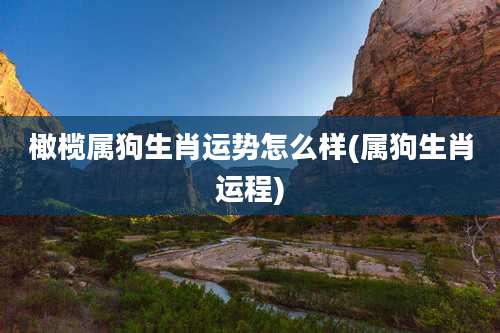 橄榄属狗生肖运势怎么样(属狗生肖运程)