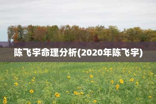 陈飞宇命理分析(2020年陈飞宇)