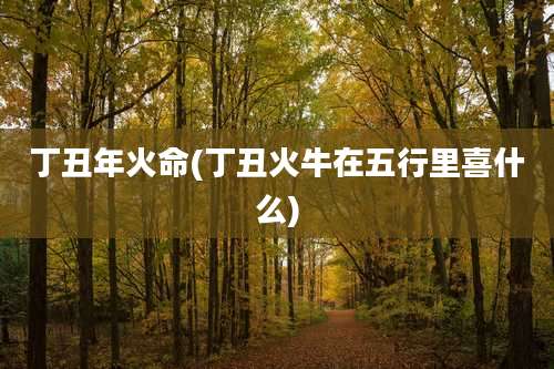 丁丑年火命(丁丑火牛在五行里喜什么)