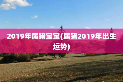 2019年属猪宝宝(属猪2019年出生运势)