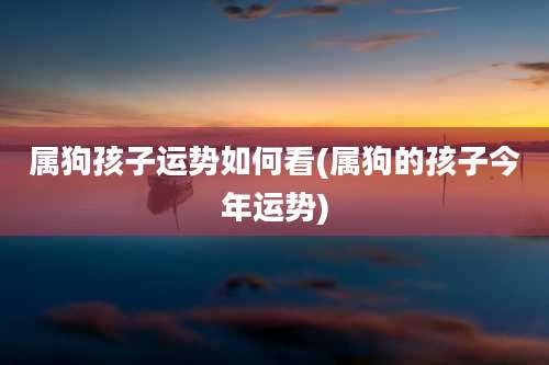 属狗孩子运势如何看(属狗的孩子今年运势)