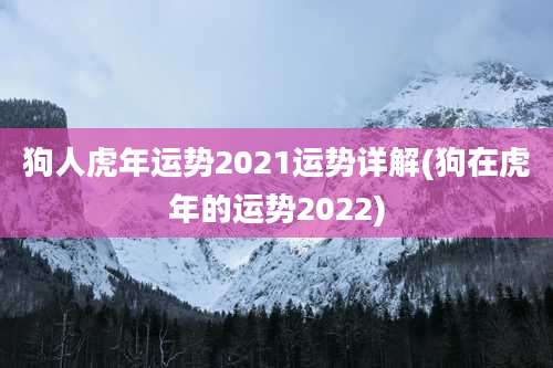 狗人虎年运势2021运势详解(狗在虎年的运势2022)