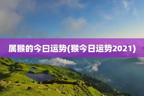 属猴的今曰运势(猴今日运势2021)